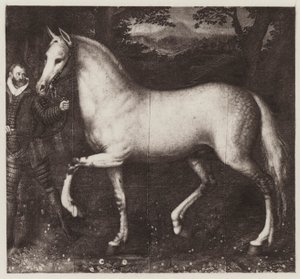 Cavalo da Rainha Elizabeth (litho) de European School