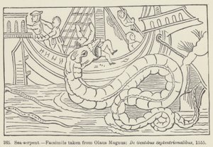 Serpente de mar (gravura) de European School