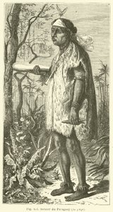 Wizard of Paraguay (gravura) de European School
