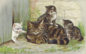 Gato malhado com três gatinhos (cromolitho) de European School