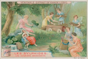 Os Sylphs Úteis de European School