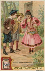 Os pássaros perdidos de European School