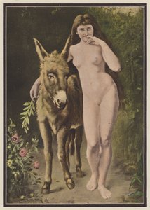 O rabo dourado (cor litho) de European School