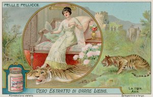 O Tigre de European School
