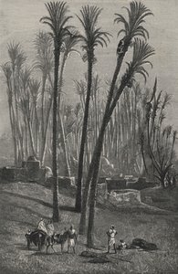Une Oasis Au Sahara (gravura) de European School