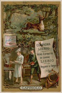 Carne de veado de European School