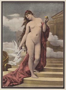 Vénus (cor litho) de European School