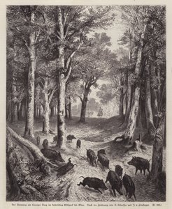 Javali selvagem no Lorenzer Berg no Parque Imperial em Viena, Áustria (gravura) de European School