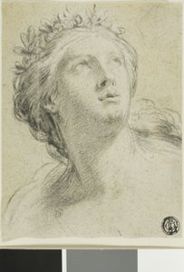 Cabeça de uma mulher de Eustache Le Sueur