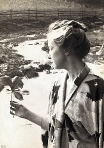 A folha da maçã de maio de Eva Lawrence Watson Schutze