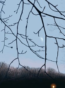 Ramos, Amanhecer, Prospect Park (arte digital) de Evan Sklar
