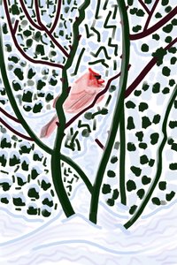 Cardeal na neve (arte digital) de Evan Sklar