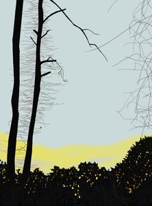 Cardeal na árvore (arte digital) de Evan Sklar