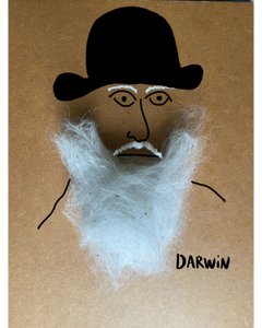 Charles Darwin de Evan Sklar