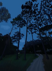 Passeio de cão ao anoitecer (arte digital) de Evan Sklar