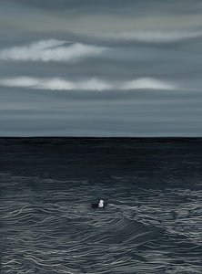 Gaivota a flutuar na água e céu tempestuoso (arte digital) de Evan Sklar