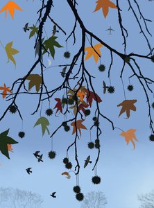 Gum Tree, Birds and Moon, Brooklyn (arte digital) de Evan Sklar