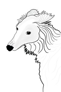 Desenho de linhas de Silken Windhound (arte digital) de Evan Sklar