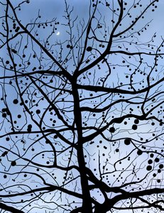 London PlaneTree and Moon, Brooklyn (arte digital) de Evan Sklar