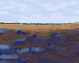 Low Country, 2016 (desenhado à mão num iPad com um lápis Apple) de Evan Sklar