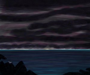 Oceano e céu com pássaro à noite de Evan Sklar
