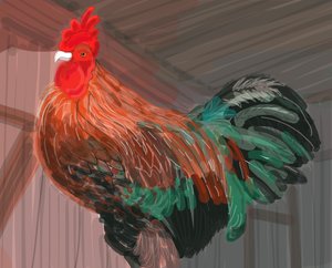 Galo no celeiro, 2018 (desenhado à mão num iPad com um lápis Apple)