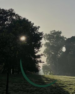 Nascer do sol sorridente, c.2020-24 (arte digital) de Evan Sklar