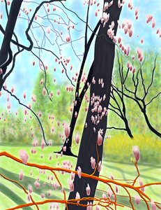 Árvore de tulipas de Evan Sklar