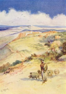  de Evelyn Stuart Hardy