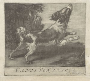 Cão saltador
Canis Venaticus (título sobre o objecto) de Evert van Sweinen