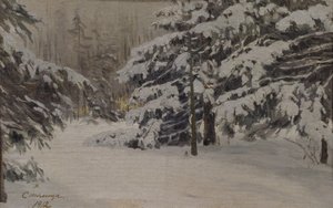 Inverno nas ilhas de São Petersburgo, 1912 de Evgeni Ivanovich Stolitsa