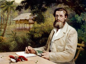 Alfred Russel Wallace (óleo sobre tela) de Evstafieff Evstafieff