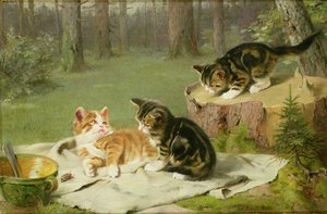 Gatinhos brincando