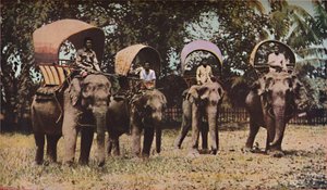 Siam, c1930s de Ewing Galloway