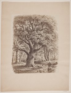 Interior da floresta com um riacho e um veado de F.C. Kiærskou