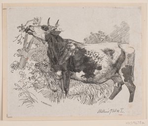 Uma vaca descascando os galhos de uma árvore de F. Hendriksen