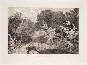 Floresta de Borrevejle de F. Larsen