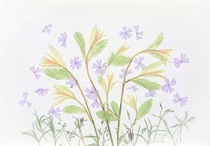 Botânicos em tons pastel flutuantes de Fangping Zhou