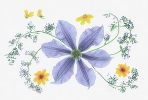Composição floral fresca