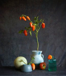Natureza morta rústica com tomates alaranjados