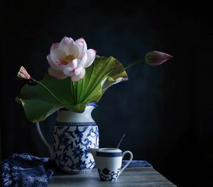 Arranjo sereno de lótus de Fangping Zhou