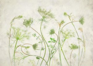 Motivos botânicos verdes suaves de Fangping Zhou