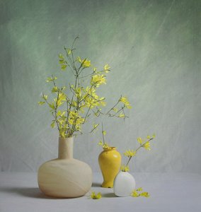 Vasos primaveris cheios de cor