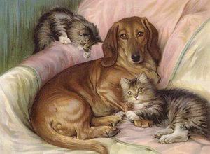Brincalhões - cão e dois gatos, sentados em um sofá (cor litho)
