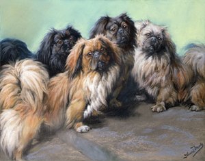 Queridos mimados (giz colorido)