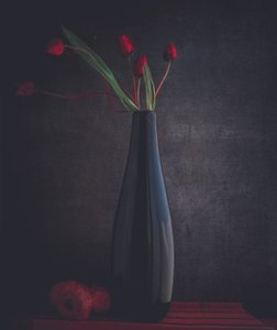  de Farid Kazamil