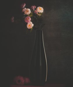  de Farid Kazamil