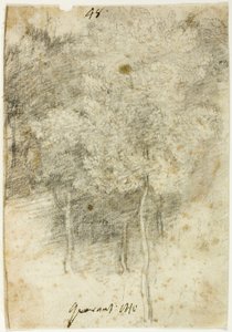 Bosque das Árvores de Federico Barocci