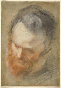 Cabeça de um homem barbudo de Federico Barocci