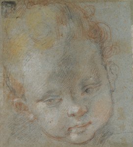 Cabeça de uma criança, final do século 16 de Federico Barocci